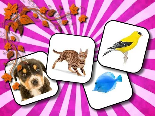 Play animal-memory - Free Online Game