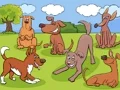 Play animals-differences - Free Online Game