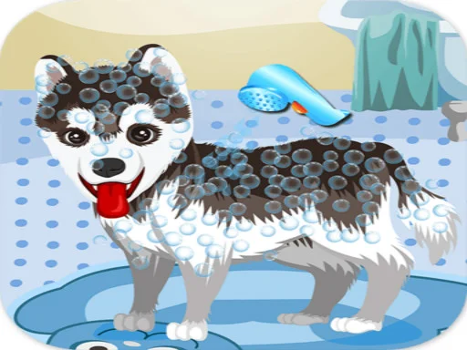Bathing a cute dog - Play Free Game