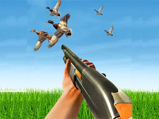 Play bird-hunting - Free Online Game