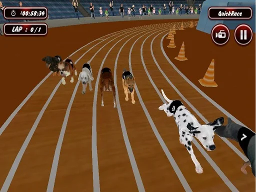 Play crazy-dog-racing-fever - Free Online Game