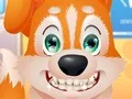 Cute Puppy Dentist - Play Free Game