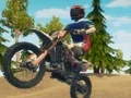 Play dirt-bike-enduro-racing - Free Online Game
