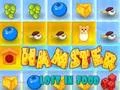 Play hamster-lost-in-food - Free Online Game