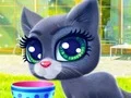 Happy Cat - Play Free Game