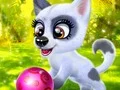 Play Happy Dog - Free Online Game