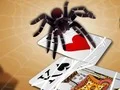Play jumping-spider - Free Online Game