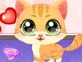 Kitty Fun Care - Play Free Game