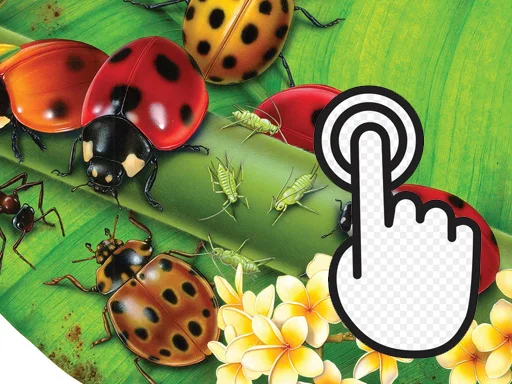 Play Ladybug Clicker - Free Online Game