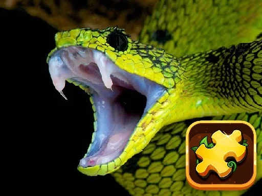 Mysterious Snakes: Puzzle - Play Free Game