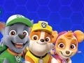 Play Paw Patrol - Free Online Game