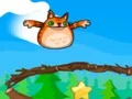 Play shot-of-an-angry-cat - Free Online Game