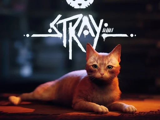 Play Stray - Free Online Game