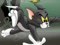 Tom And Jerry Chase In Marsh - Play Free Game