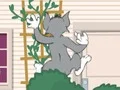 Tom und Jerry: Wasserbomben Wahnsinn - Play Free Game
