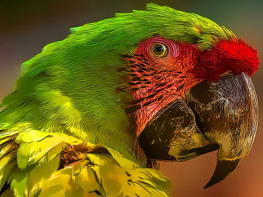Play parrot-bird-puzzle - Free Online Game