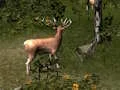 Play sniper-hunting-deadly-animal - Free Online Game