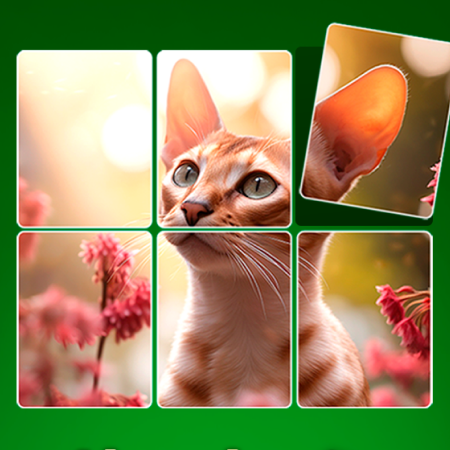 Play Jigpic Solitaire - Free Online Browser Game